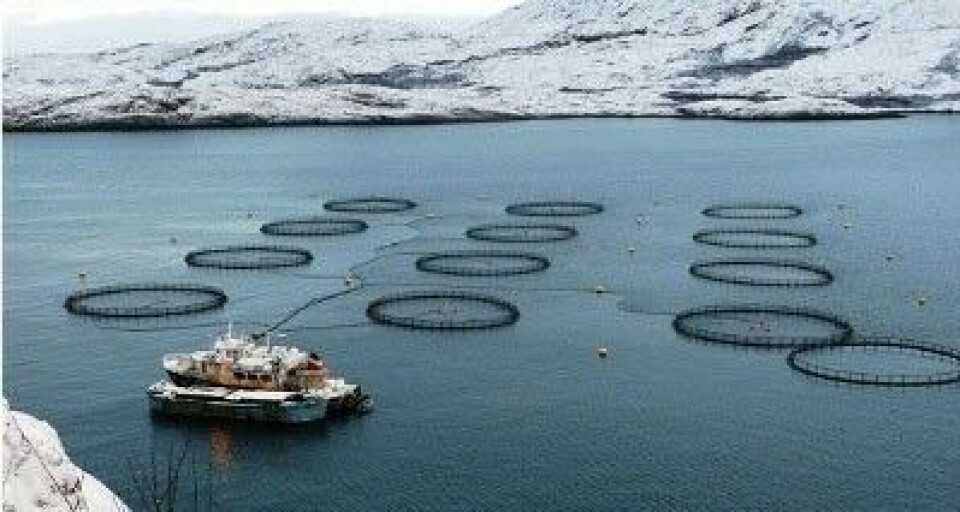Little is left of the Murmansk aquaculture industry after this year's major outbreak of disease. Photo: Russian Salmon