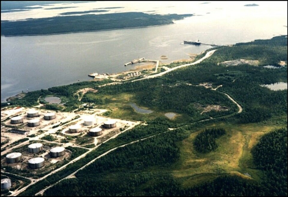 The Vitino port and oil base. Photo: Vitino.ru