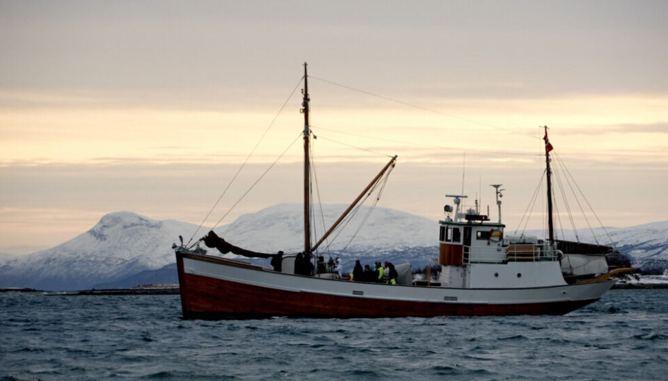 Tromsø is experiencing a boom in tourism. One of the reasons - the beautiful coastline. Photo: Elizaveta Vereykina