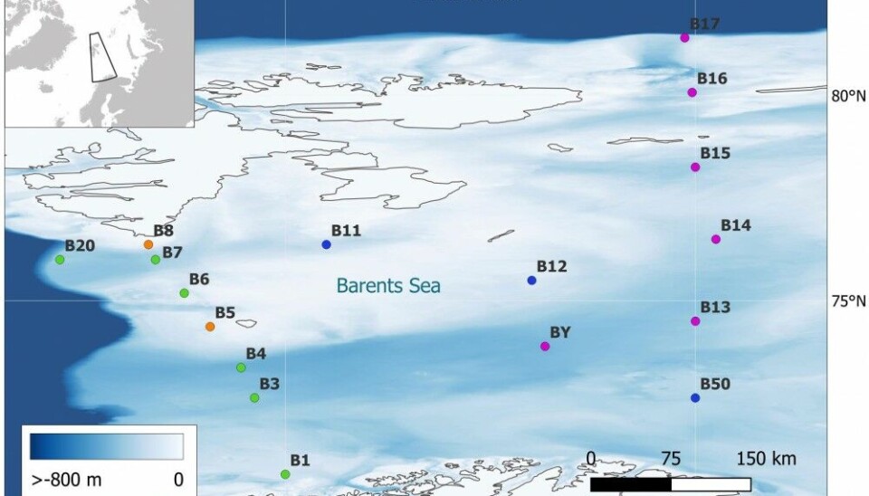 Расположение 17 участков исследования на дне Баренцева моря.