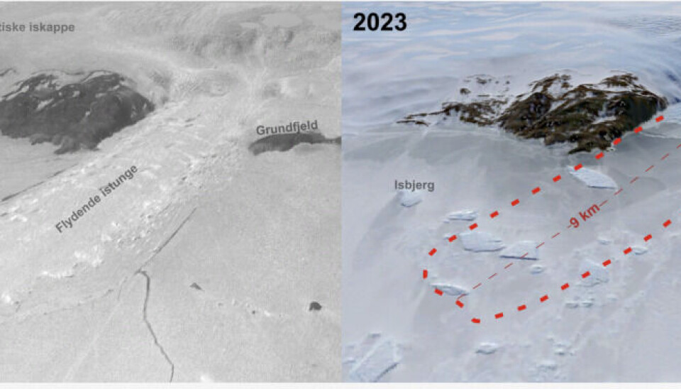 Scientists compared photos of East Antarctica made in 1937 with those in 2023 - to their surprise, the ice in Antarctica has even grown.Photo: Norwegian Polar Institute in Tromsø