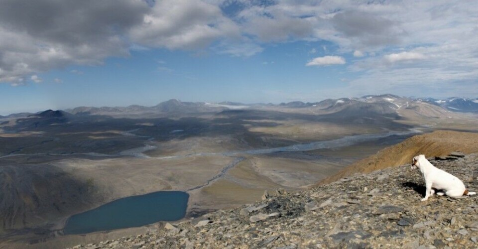 The Pavlovsky area, Novaya Zemlya. Photo: pgrk.armz.ru