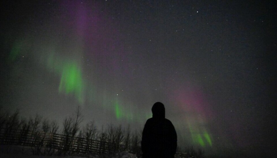 To see the northern lights is one of the main reasons why tourists visit the North of Norway. Photo: Henry Patton