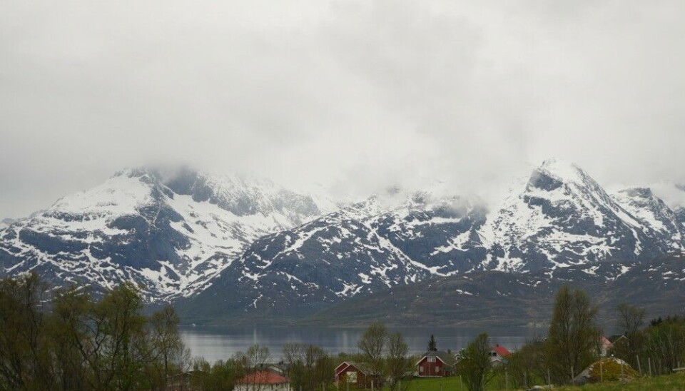 The Arctic has warmed by about 1 degree over the last decade. Photo: Elizaveta Vereykina