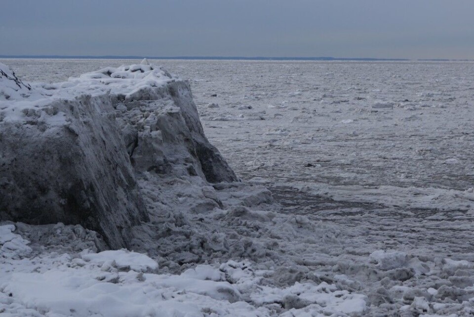 Sea-ice of the coast of Alaska. Photo: Thomas Nilsen
