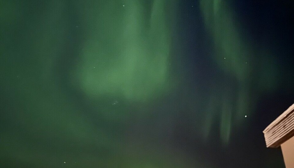 Northern lights in Kirkenes, Northern Norway. Photo: Elizaveta Vereykina