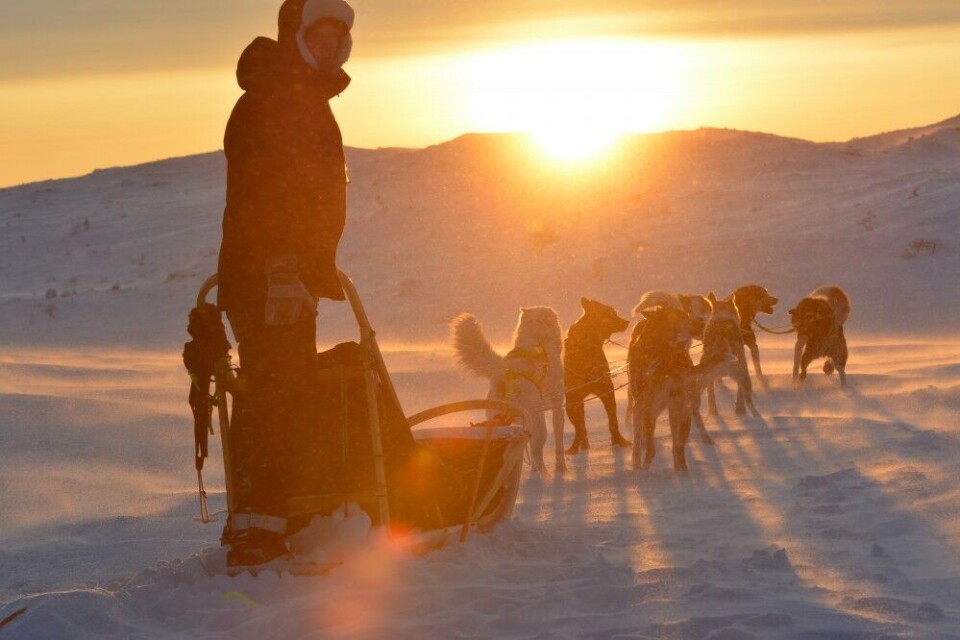 Tourists come to Lapland for unique nature, not mining, according to local entrepreneurs. Photo: Thomas Nilsen