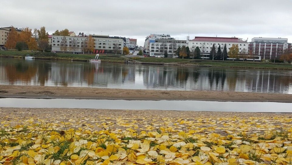 Ounasjoki (river) in Rovaniemi. Photo: Thomas Nilsen