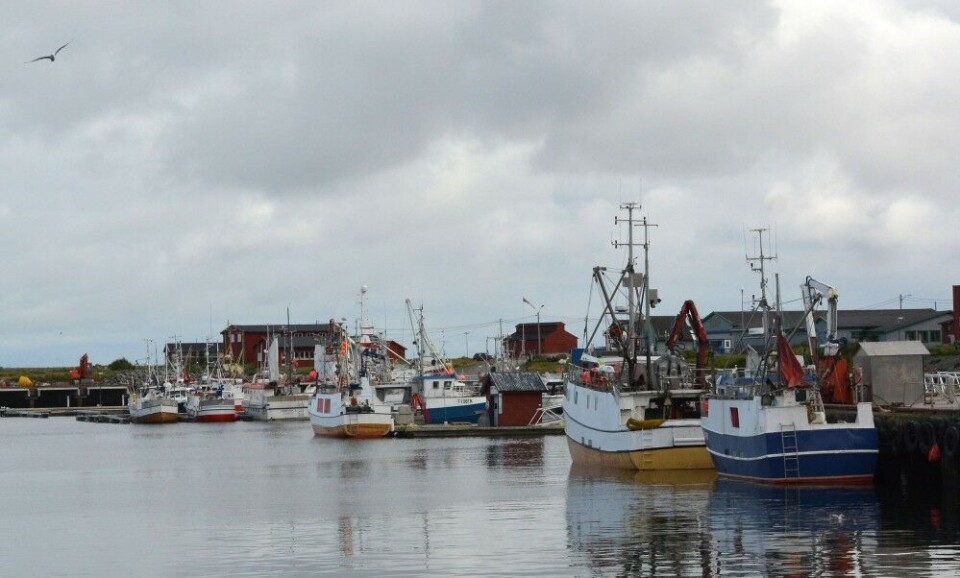 Fishing boasts in town of Berlevåg, Barents Sea coast. Photo: Atle Staalesen