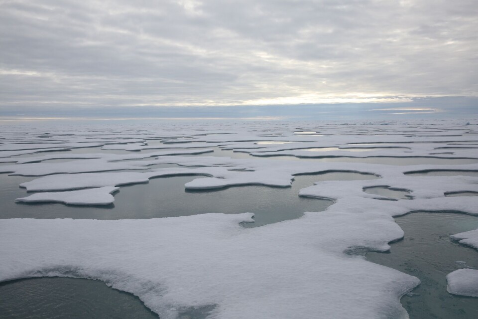 Covered with melt ponds and melting from the bottom, the sea ice is no real barrier for the research icebreaker on her way towards the North Pole. Photo: Folke Mehrtens / MOSAiC