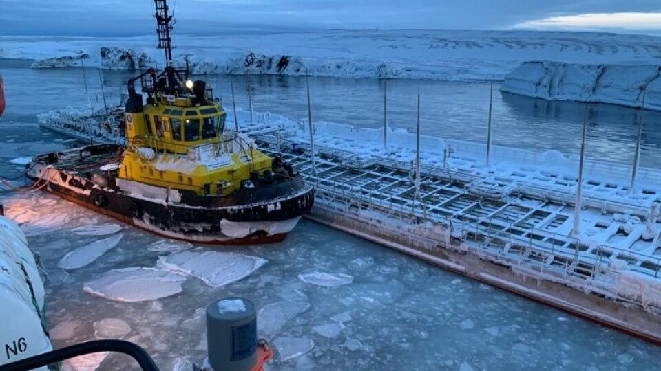 Photo: Marine Rescue Service