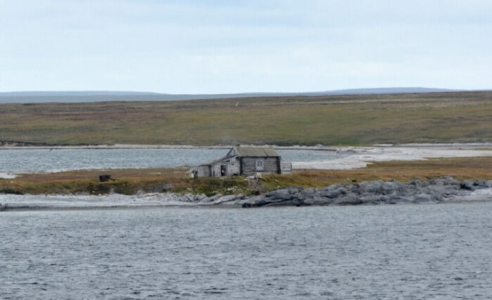 Vaygach Island in summer. Photo: Thomas Nilsen