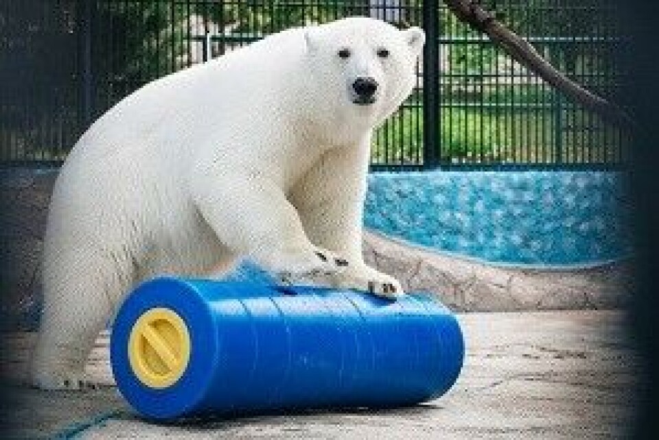 Photo: Rosneft.ru