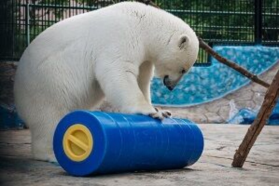 Photo: Rosneft.ru