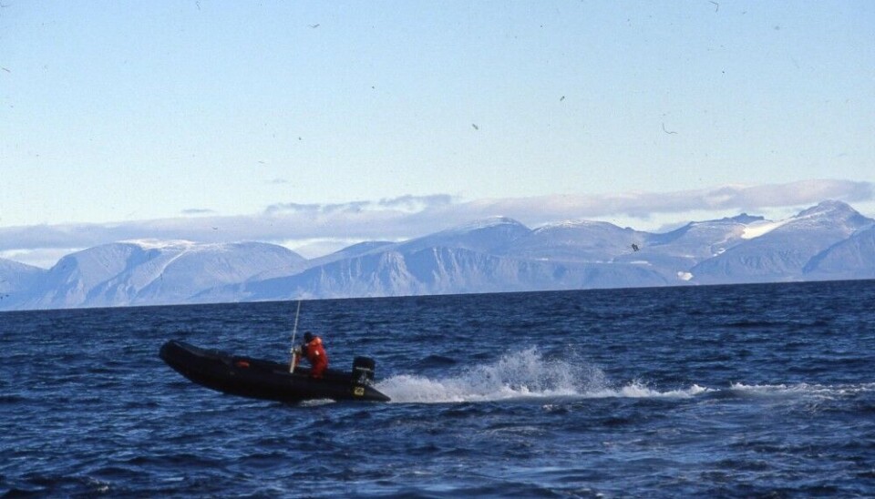 The northern island of Novaya Zemlya, near the Matochkin Strait, seen from the Barents Sea. Photo: Thomas Nilsen