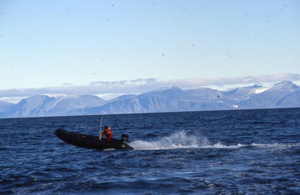 The northern island of Novaya Zemlya seen from the Barents Sea. Photo: Thomas Nilsen
