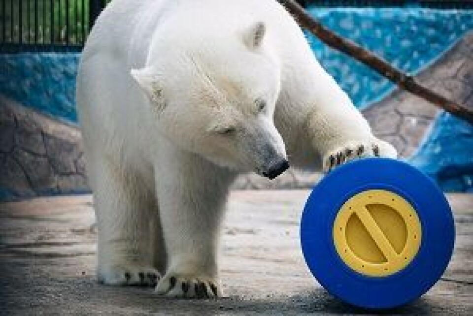 Photo: Rosneft.ru