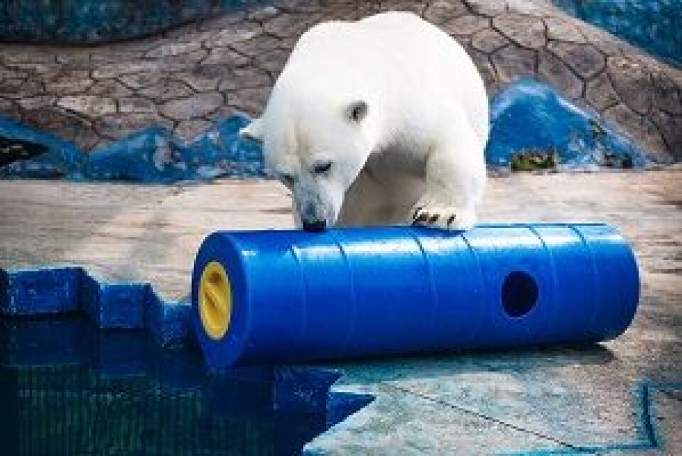 Photo: Rosneft.ru