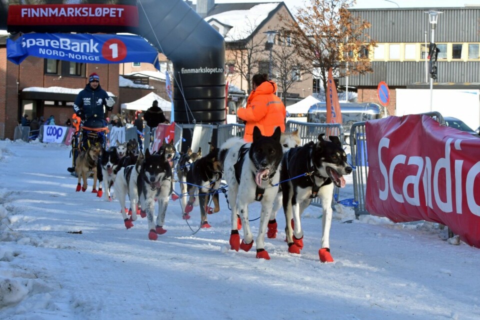 Check-point Kirkenes is halfway on Finnmarksløpet. Photo: Thomas Nilsen