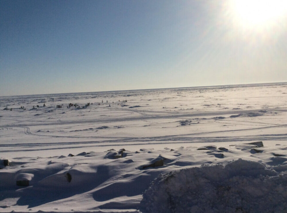 The Bering Sea in winter. Photo: Anita Parlow ©