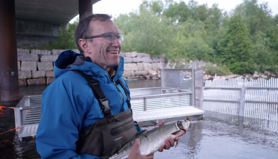 Norway’s Minister of Climate and Environment Espen Barth Eide holding a Pink salmon caught in a trap installed in the river Munkelva. Photo: Elizaveta Vereykina