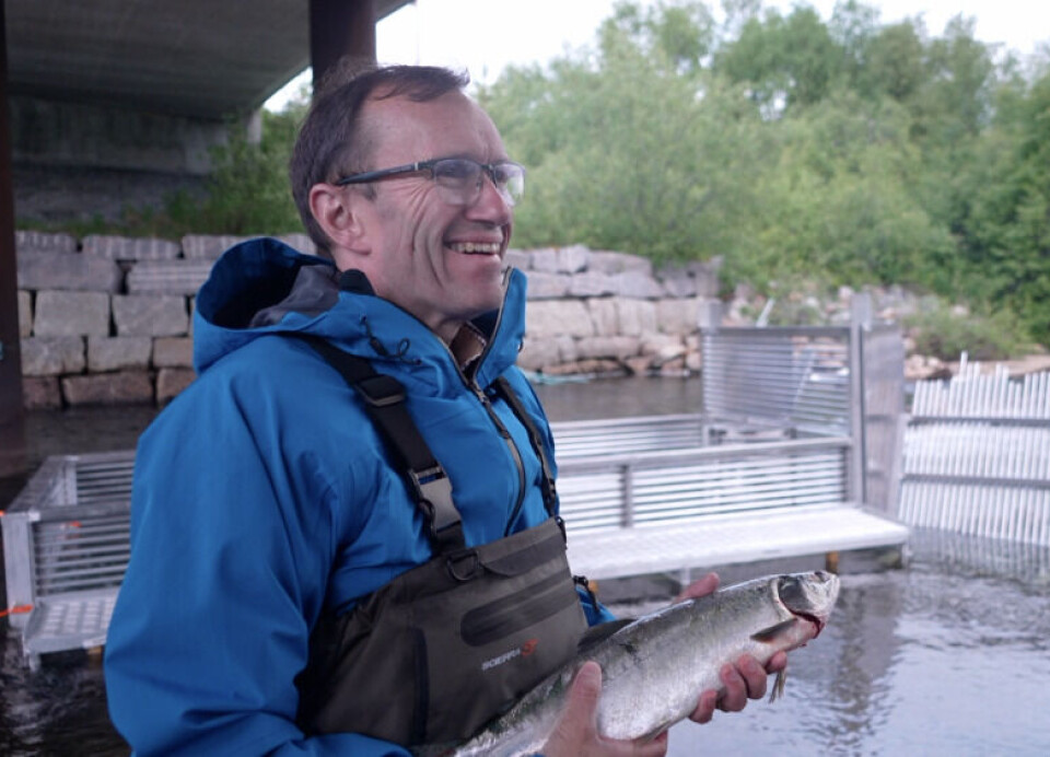 Espen Barth Eide fighting pink salmon in the north of Norway.