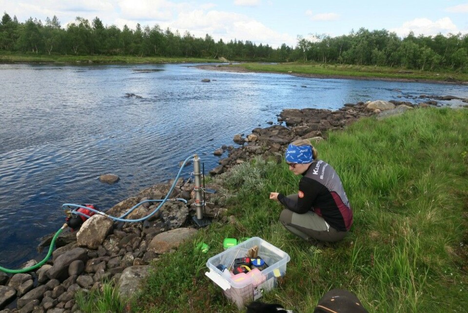Researcher Emilia Uurasjärvi is taking samples from Silisjoki delta in the Näätämö River. Photo: Tero Mustonen