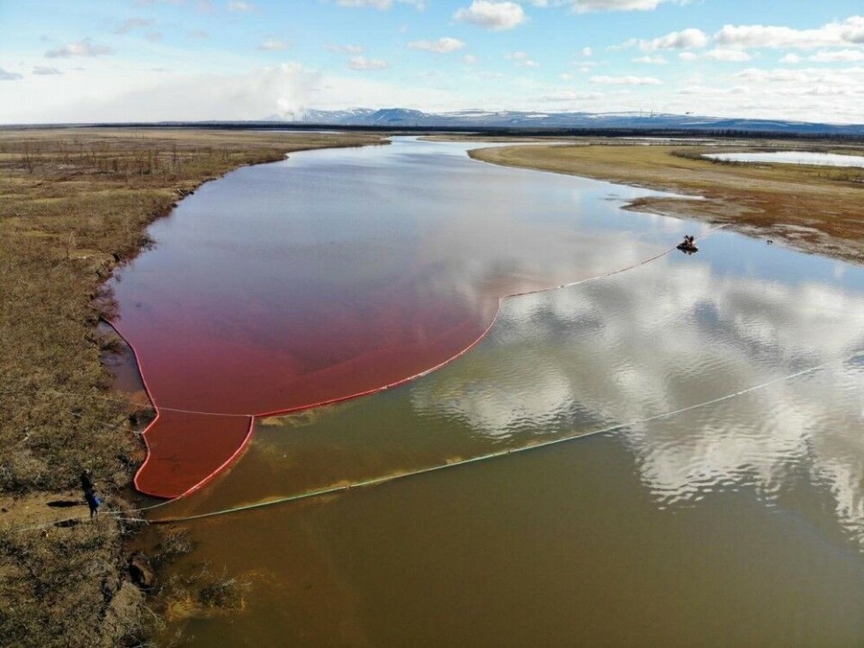 Spilled diesel oil on the waters of Taymyr. Photo: Rosprirodnadzor