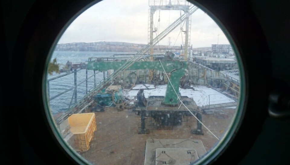 Kirkenes port in Northern Norway is one of three ports still open for Russian fishing vessels. Photo: Thomas Nilsen