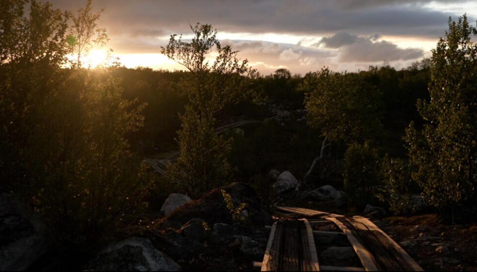 Midnight sun of the Arctic allowed NIBIO scinetists to gather water samples up until 4 am. Photo: Elizaveta Vereykina