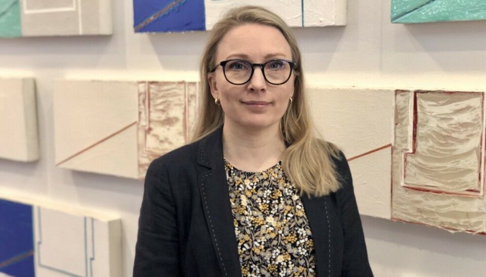 Ilona Mettiäinen is an environmental social scientist, and on of three researchers from the Arctic Centre participating in the Co-CREATE project. Photo: Hannah Thulé