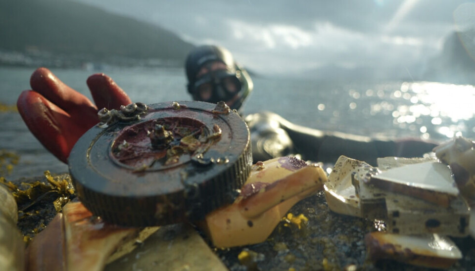A diver cleaning the waters around Tromsø, Arctic Norway, from the plastic waste. Photo: Elizaveta Vereykina