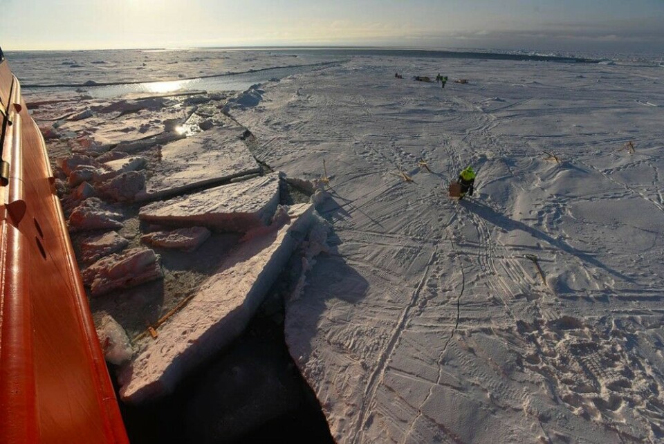 Open waters in sight as Arctic ice breaks up around the Transaktika-2019 expedition. Photo: aari.ru