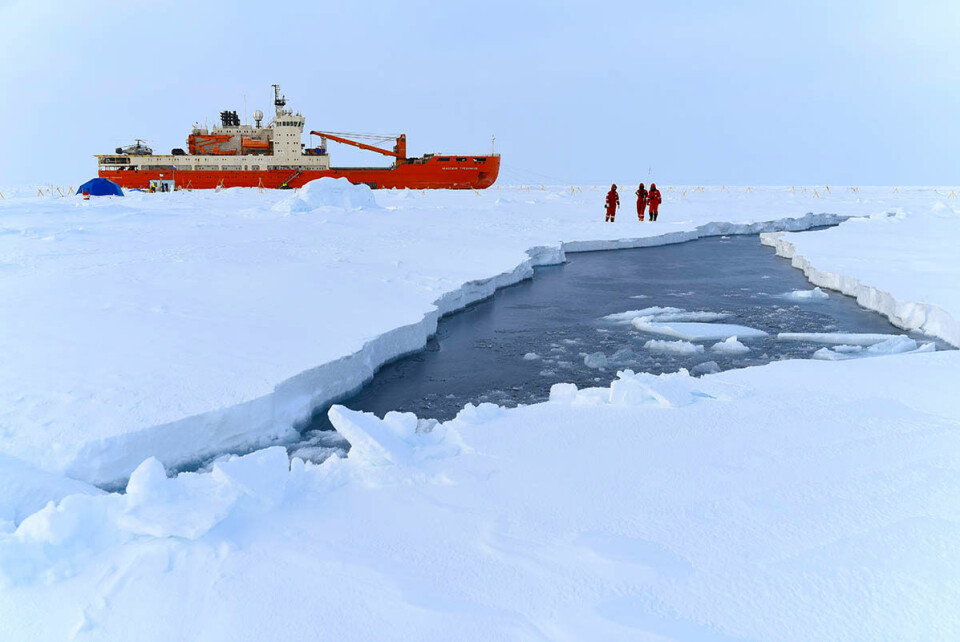 Growing cracks in the ice had been registered ahead of the evacuation. Photo: aari.ru