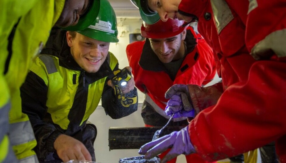 UiT team examining glacial sediments obtained in a core taken from the Barents Sea floor. The sediments are collected within a plastic liner roughly 10 cm wide (shown in the background). By examining the nature of these seafloor sediments more closely we can learn more about the type of environment they were deposited in. Photo: Mauro Pau, 2021