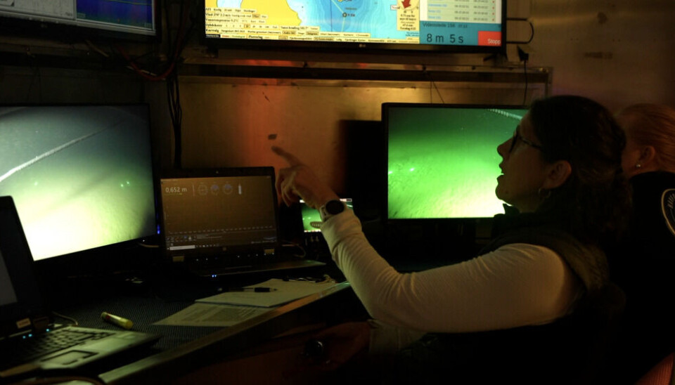 Researcher Ann Merete Hjelset counting king crabs in the control room of a ship. Photo: Elizaveta Vereykina