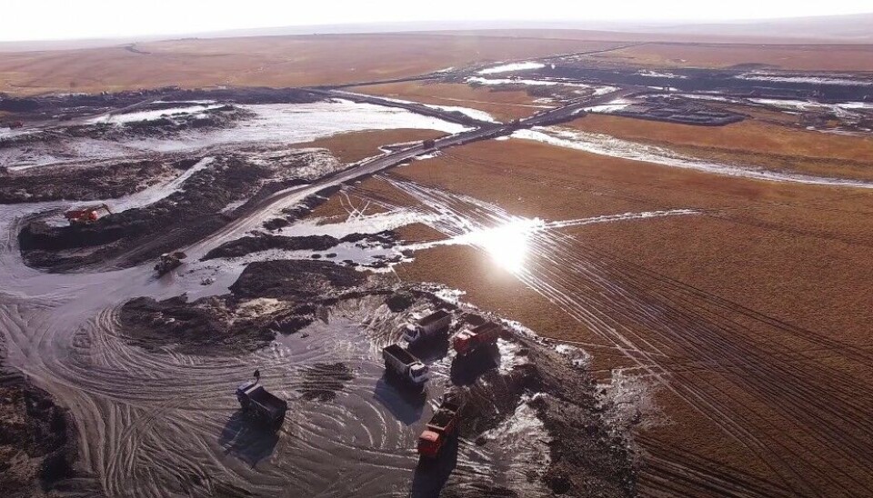 Digging on the Taymyr Peninsula. Screenshot of video