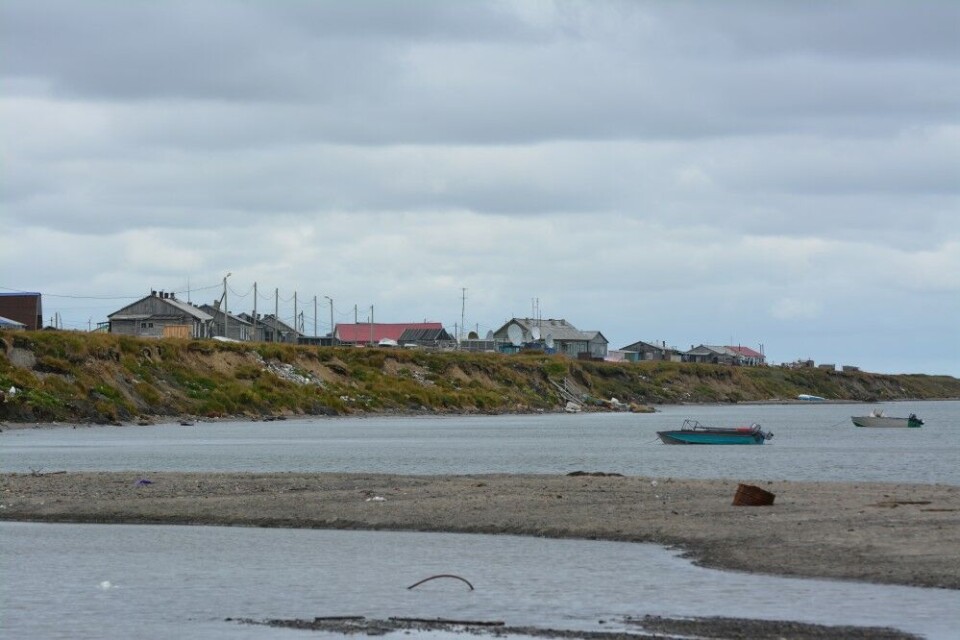 The island of Kolguyev. Photo: Thomas Nilsen