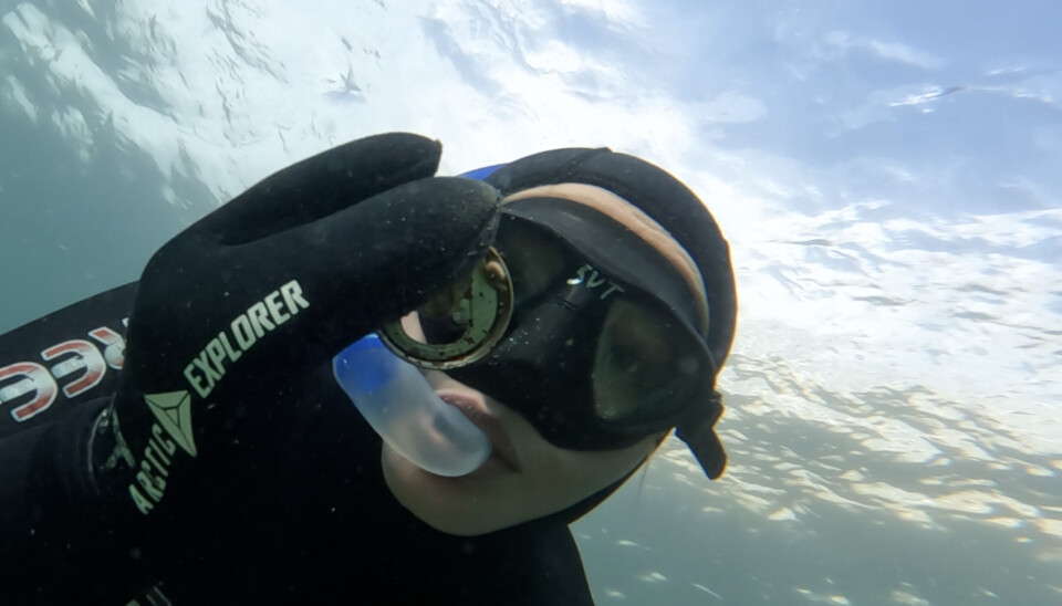 Free diver Lena picked up piece of a can. Photo: Lena Winter