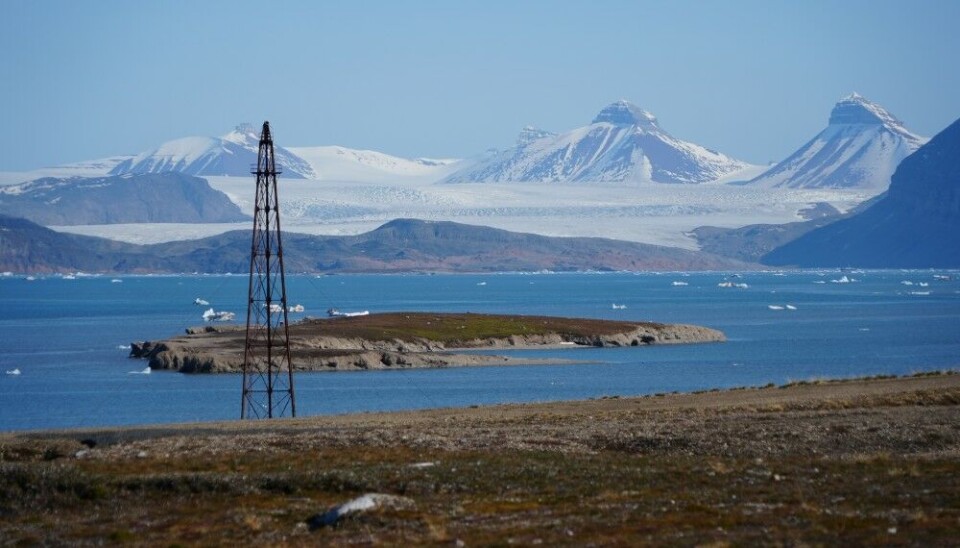 Arctic tundra on the shores of Kongsfjorden near Ny-Ålesund at Norway's Svalbard archipelago. A recent study describes how despite similar summer CO2 uptake, permafrost areas lose more CO2 the rest of the year, contributing to greenhouse gases and accelerating global warming. Photo: Thomas Nilsen