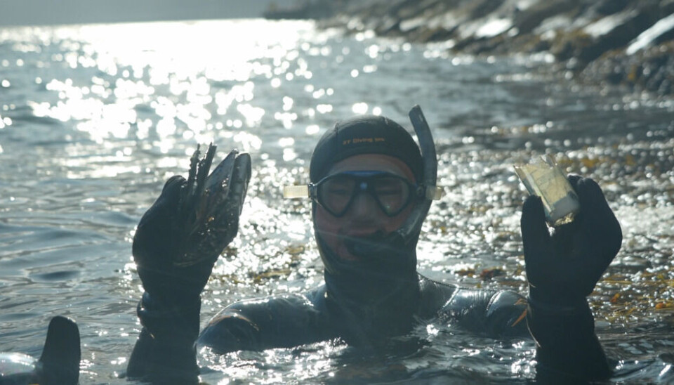 Diver Sebastian picked up waste on the seabed. Photo: Elizaveta Vereykina