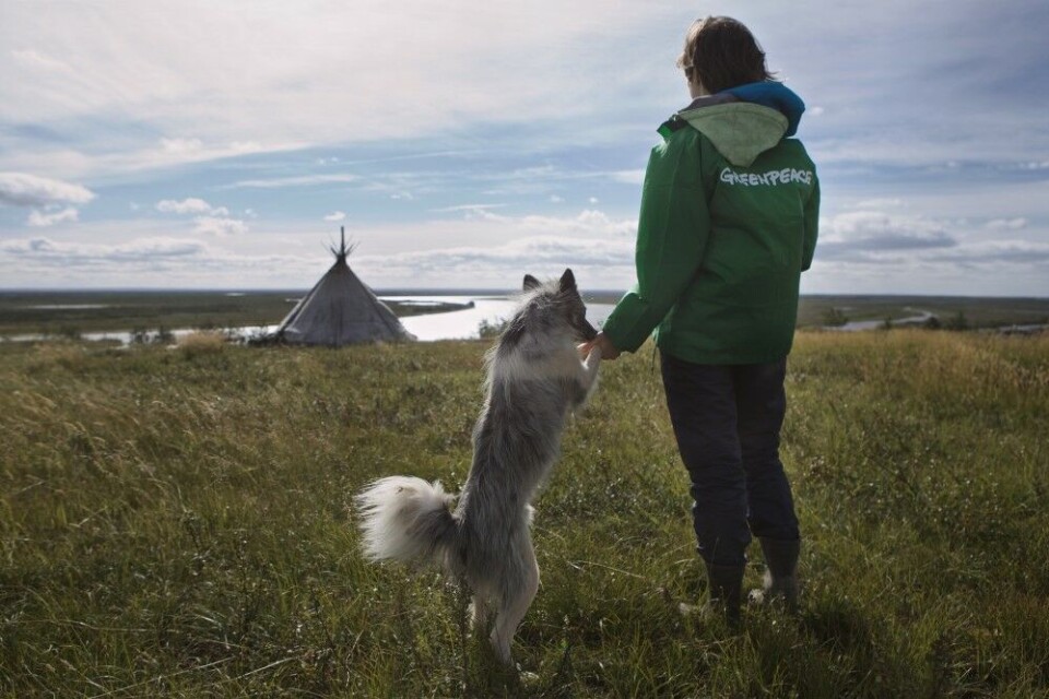 Increasingly difficult for Greenpeace to operate in the Russian North. Photo: Greenpeace