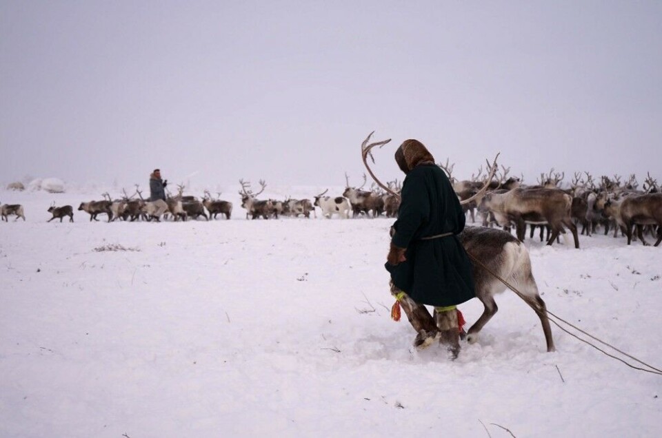 Photo: Atle Staalesen