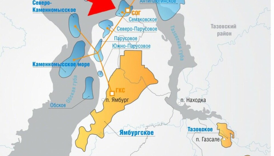 The Semakovsky field in located partly offshore in the Gulf of Ob, partly on land in the Yamburg area. Map by Gazprom/Barents Observer