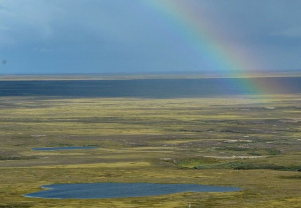 Coastal lands under dramatic change as permafrost melts and erosion picks pace. Photo: Gazprom Neft