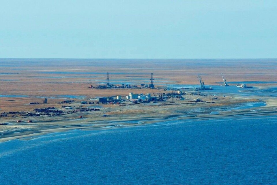 The coast of the Yamal Peninsula. Photo: Novatek