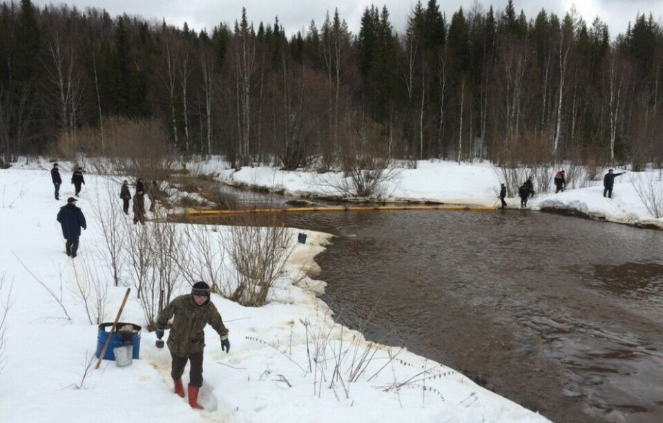 A clean-up team has been sent to the affected areas. Photo: Rkomi.ru