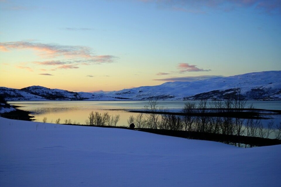 Repparfjord is near Norway’s northernmost point. Photo: Thomas Nilsen