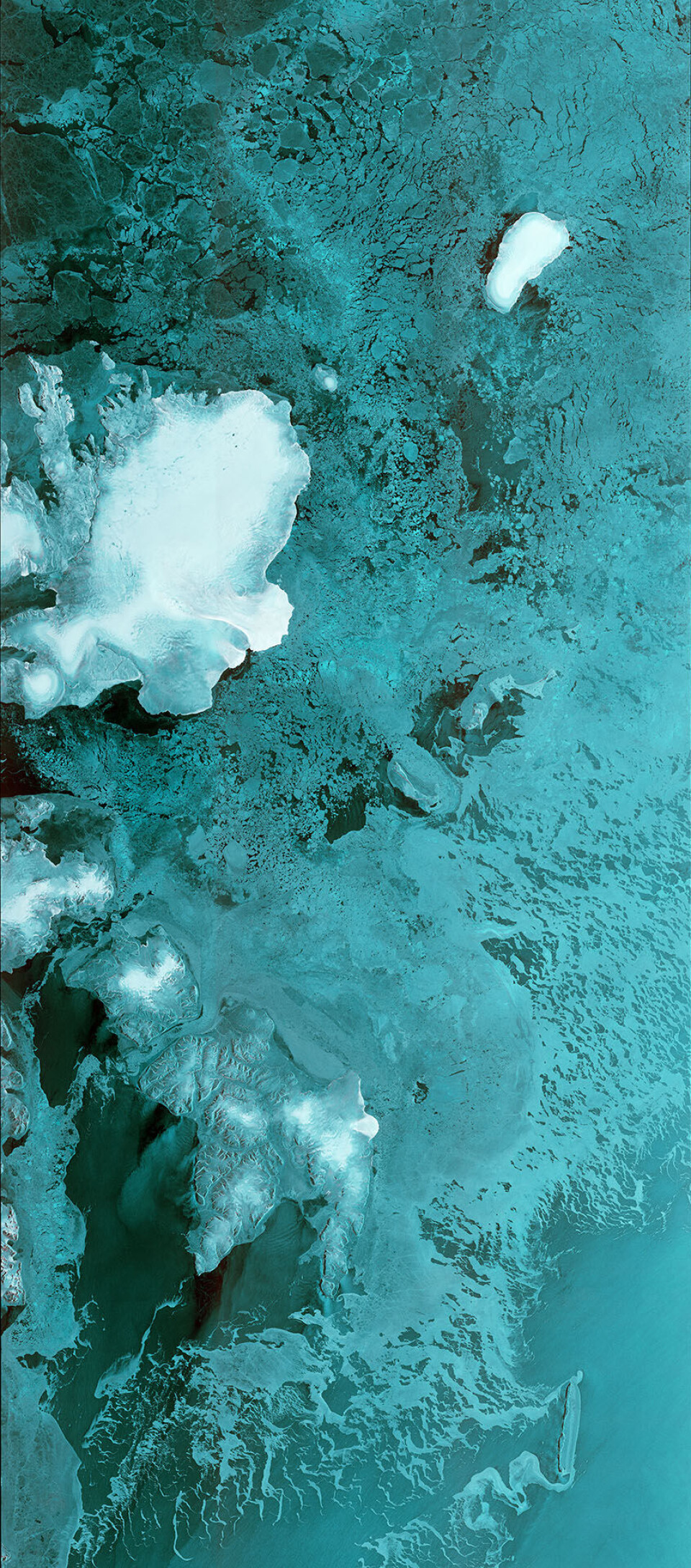 The first image from Sentinel-1B. Photo: esa.int