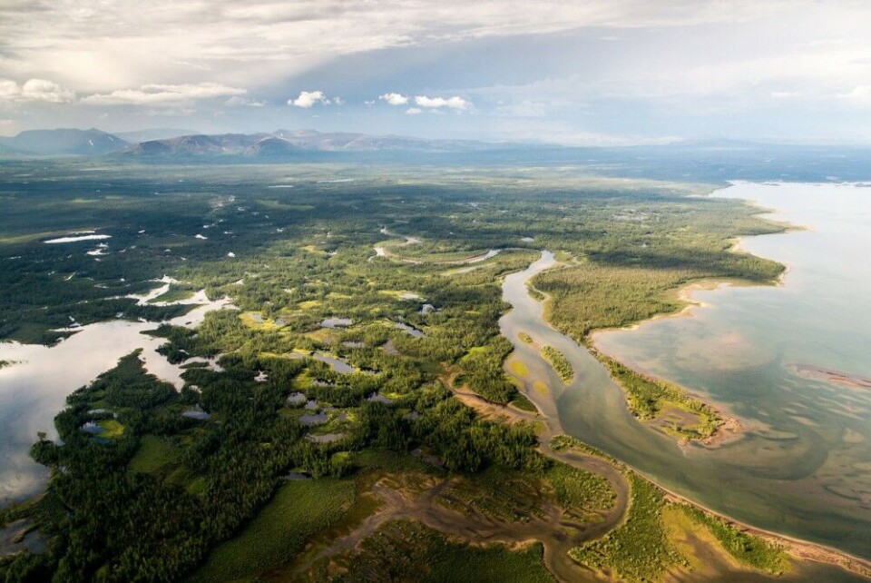 The Putorana Plateau. Photo: Denis Simonov, Zapovedsever.ru